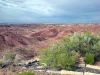 petrified-forest-national-park-014.jpg