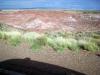 petrified-forest-national-park-017.jpg