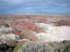 petrified-forest-national-park-018.jpg