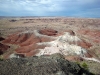 petrified-forest-national-park-019.jpg