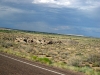 petrified-forest-national-park-038.jpg