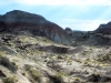 petrified-forest-national-park-046.jpg