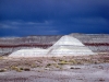 petrified-forest-national-park-056.jpg