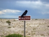 petrified-forest-national-park-058.jpg