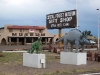 petrified-forest-national-park-072.jpg