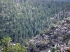 walnut-canyon-national-monument-09.jpg