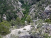 walnut-canyon-national-monument-20.jpg