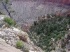 grand-canyon-031.jpg