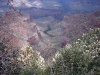 grand-canyon-077.jpg