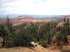 bryce-canyon-012.jpg