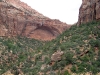 zion-national-park-024.jpg