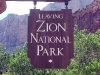 zion-national-park-038.jpg