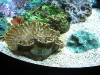 monterey-bay-aquarium-039.jpg