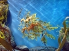 monterey-bay-aquarium-055.jpg