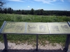 wilsons-creek-national-battlefield-080.jpg